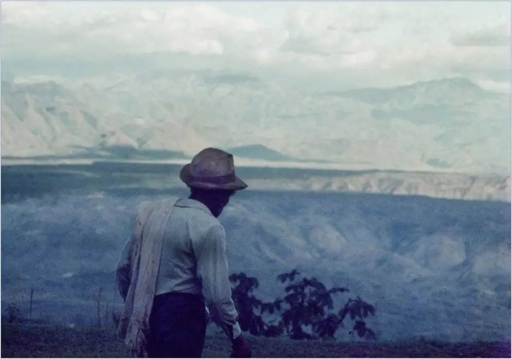 «Hay campesino, qué largo caminar» (paysan, que de chemin à parcourir). D'un jour à l'autre, la vie du paysan colombien, tout particulièrement celui qui possède peu de terres, bascule et se convertit en un calvaire.