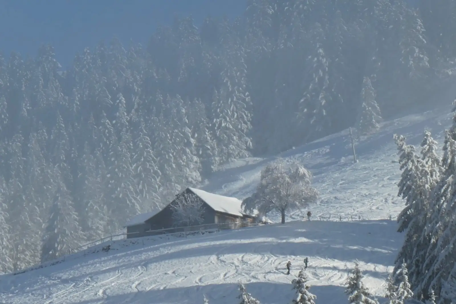 Poésies-Photos 2026 — janvier, Moléson-sur-Gruyère sous la brume