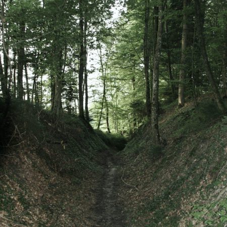 Chemin creux 1