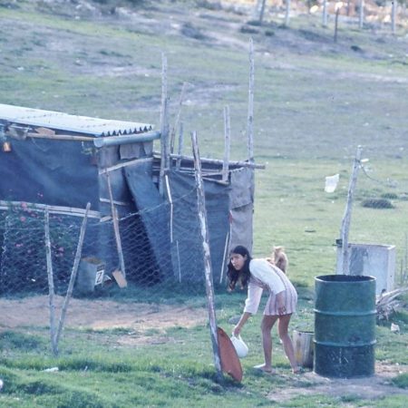 Rancho Pardo Rubio